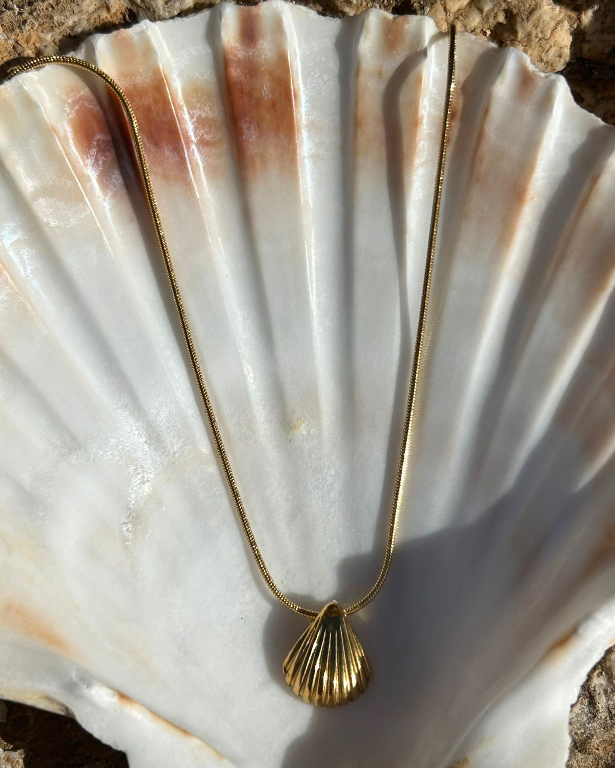 De Mar Shell Necklace - Gold